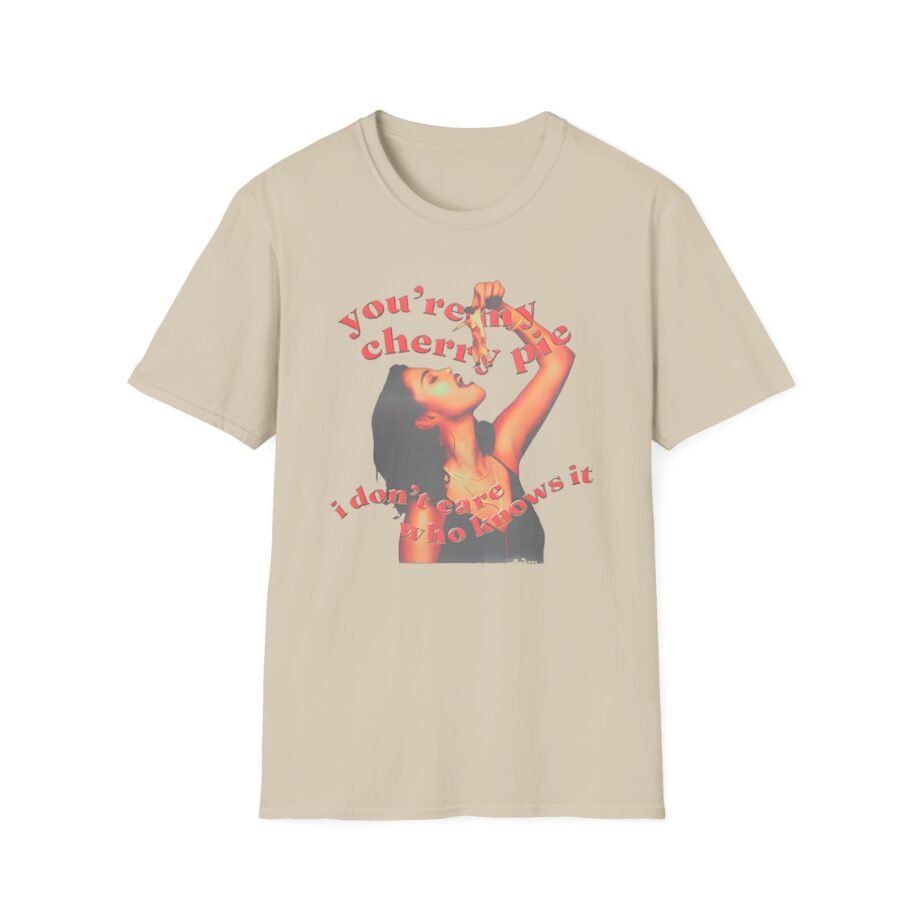 SG I Don’t Care Who Knows It Unisex Softstyle T-Shirt